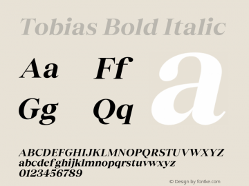 Tobias Bold Italic Version 3.000;FEAKit 1.0图片样张