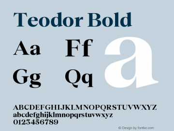 Teodor Bold Version 3.000;FEAKit 1.0图片样张