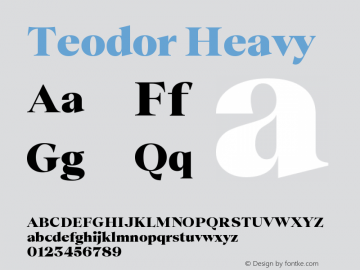 Teodor Heavy Version 3.000;FEAKit 1.0图片样张