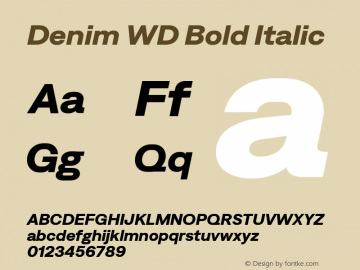 Denim WD Bold Italic Version 4.000;Glyphs 3.2 (3179)图片样张