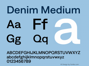 Denim Medium Version 4.000;Glyphs 3.2 (3179)图片样张