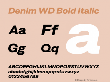 Denim WD Bold Italic Version 4.000;Glyphs 3.2 (3179)图片样张