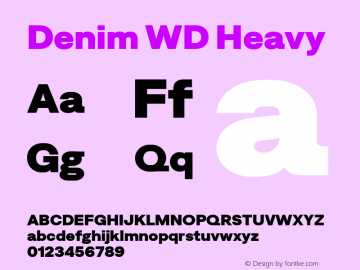 Denim WD Heavy Version 4.000;Glyphs 3.2 (3179)图片样张