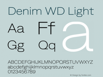 Denim WD Light Version 4.000;Glyphs 3.2 (3179)图片样张