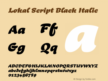 Lokal Script Black Italic Version 1.000图片样张