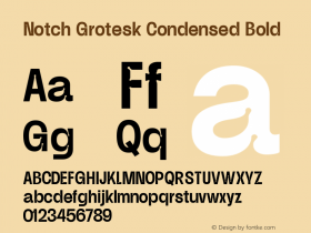 Notch Grotesk Condensed Bold Version 1.000 | web-ttf图片样张