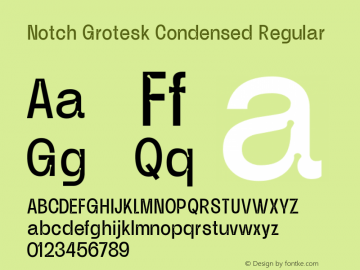 Notch Grotesk Condensed Regular Version 1.000 | web-ttf图片样张