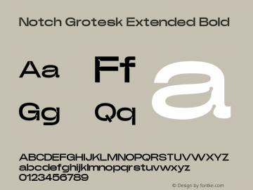 Notch Grotesk Extended Bold Version 1.000 | web-ttf图片样张