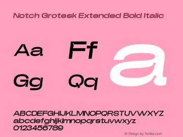 Notch Grotesk Extended Bold Italic Version 1.000 | web-ttf图片样张