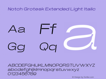 Notch Grotesk Extended Light Italic Version 1.000 | web-ttf图片样张