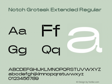 Notch Grotesk Extended Regular Version 1.000 | web-ttf图片样张