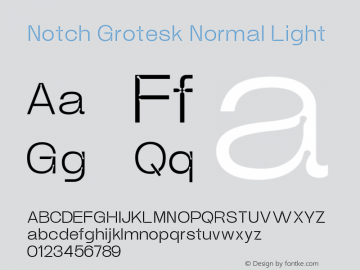 Notch Grotesk Normal Light Version 1.000 | web-ttf图片样张