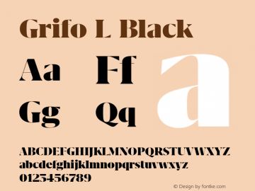 Grifo L Black Version 2.003图片样张