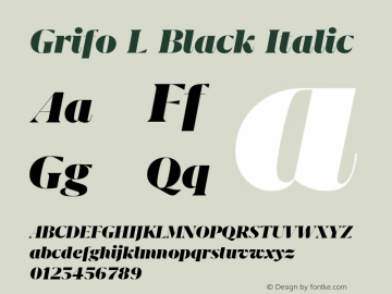 Grifo L Black Italic Version 2.003图片样张