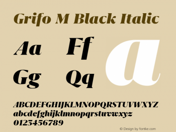 Grifo M Black Italic Version 2.003图片样张
