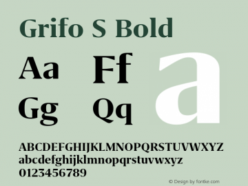 Grifo S Bold Version 2.003图片样张