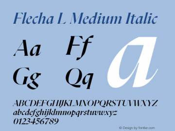 Flecha L Medium Italic Version 2.004图片样张