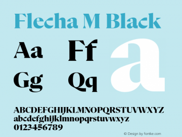 Flecha M Black Version 2.004图片样张