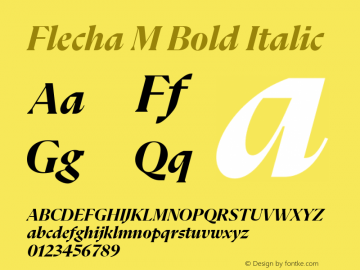 Flecha M Bold Italic Version 2.004图片样张