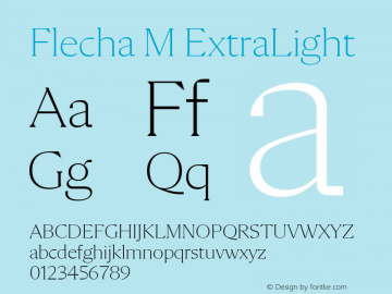 Flecha M ExtraLight Version 2.004图片样张