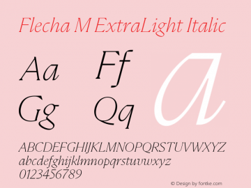 Flecha M ExtraLight Italic Version 2.004图片样张