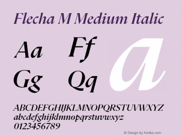 Flecha M Medium Italic Version 2.004图片样张