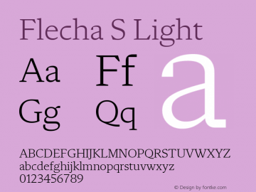 Flecha S Light Version 2.004图片样张