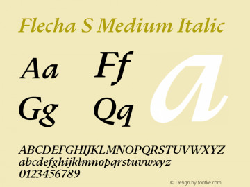 Flecha S Medium Italic Version 2.004图片样张