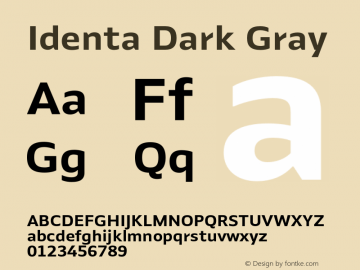 Identa Dark Gray Version 1.000;FEAKit 1.0图片样张