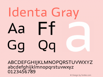 Identa Gray Version 1.000;FEAKit 1.0图片样张