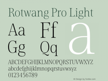 Rotwang Pro Light Version 1.000;PS 001.000;hotconv 1.0.88;makeotf.lib2.5.64775图片样张