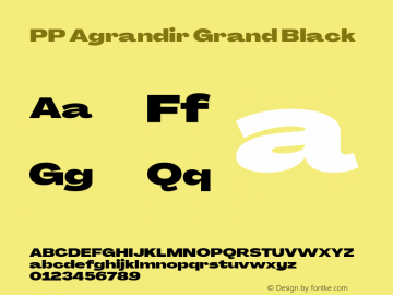 PP Agrandir Grand Black Version 4.100 | FøM Fix图片样张