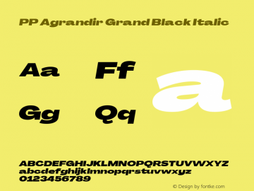 PP Agrandir Grand Black Italic Version 4.100 | FøM Fix图片样张