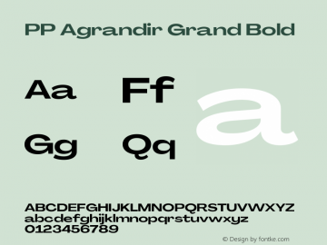 PP Agrandir Grand Bold Version 4.100 | FøM Fix图片样张