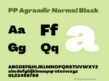 PP Agrandir Normal Black Version 4.100 | FøM Fix图片样张