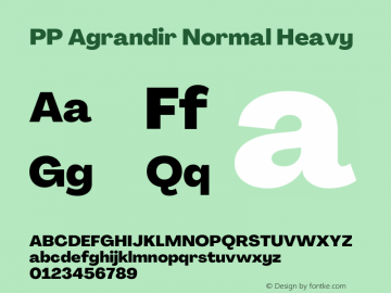 PP Agrandir Normal Heavy Version 4.100 | FøM Fix图片样张