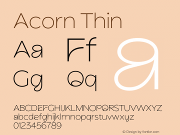 Acorn Thin Version 1.000;Glyphs 3.1.2 (3151)图片样张