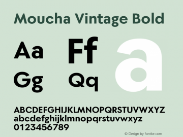 Moucha Vintage Bold Version 1.000图片样张