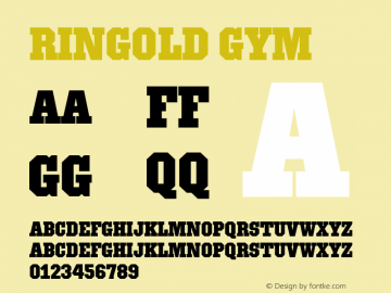 Ringold Gym Version 1.000 | web-ttf图片样张