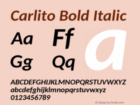 Carlito Bold Italic Version 1.104图片样张