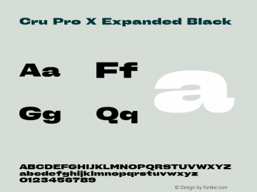 Cru Pro X Expanded Black Version 1.001图片样张