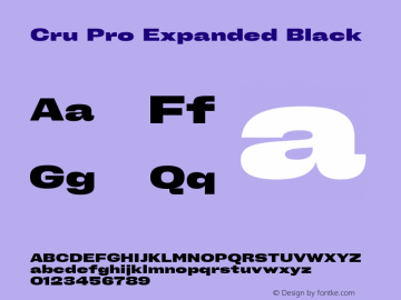 Cru Pro Expanded Black Version 1.001图片样张