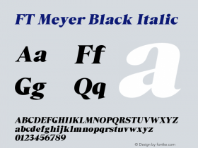 FT Meyer Black Italic Version 1.000 | web-otf图片样张