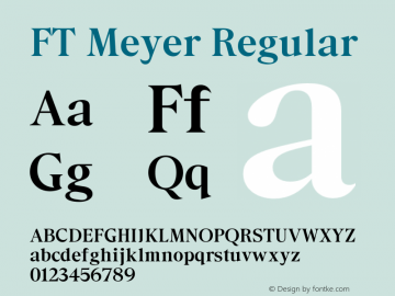 FT Meyer Regular Version 1.000 | web-otf图片样张