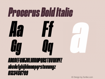 Procerus Bold Italic Version 1.000 | FøM Fix图片样张