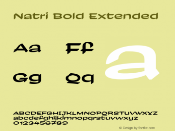 Natri Bold Extended Version 1.000;Glyphs 3.2 (3179)图片样张