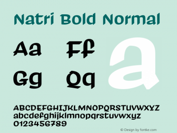 Natri Bold Normal Version 1.000;Glyphs 3.2 (3179)图片样张