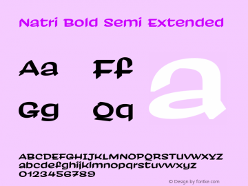 Natri Bold Semi Extended Version 1.000;Glyphs 3.2 (3179)图片样张