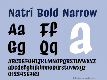 Natri Bold Narrow Version 1.000;Glyphs 3.2 (3179)图片样张