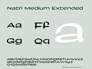 Natri Medium Extended Version 1.000;Glyphs 3.2 (3179)图片样张